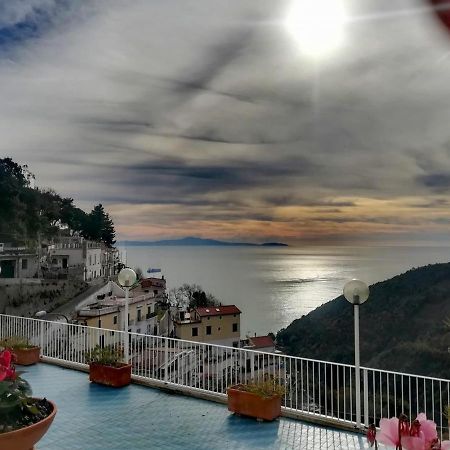 Contrada Vigna Bed & Breakfast Vietri Ngoại thất bức ảnh